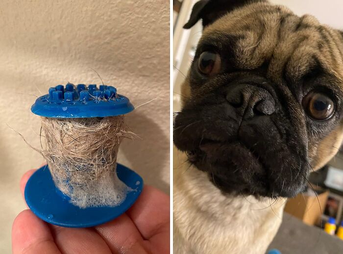 Clogged Drains Got You Feeling Like Rapunzel? This Tubshroom Hair Catcher Will Catch Those Stray Strands Before They Cause A Plumbing Disaster