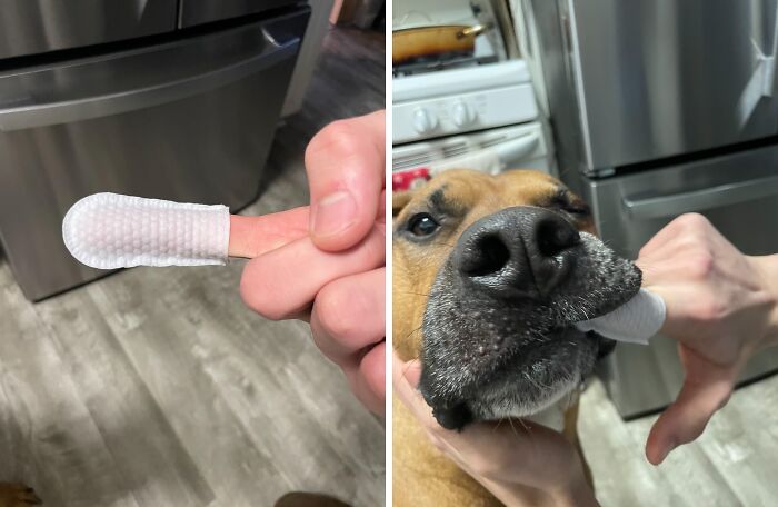 Easy Pet Dental Care: Freshen Breath And Remove Tartar With These Handy Finger Wipes