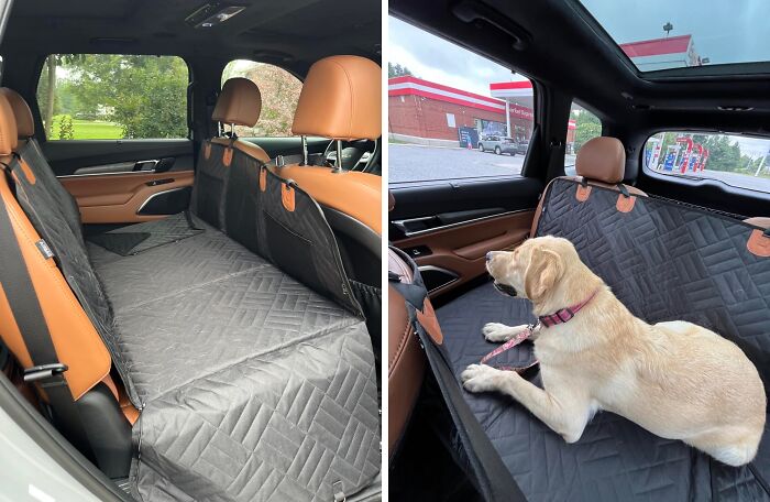 Protect Your Car's Seats From Fur And Spills With The Perfect Cover For Pet-Friendly Travel