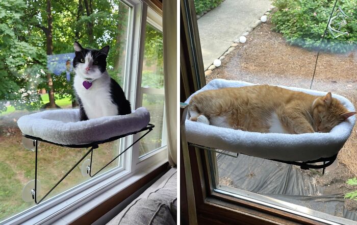 Why Not Add A Cat Perch? This Window Seat Creates A Comfy Spot For Your Feline To Enjoy The View