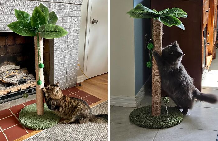 Say Goodbye To Boring Scratching — Welcome To A World Of Fun With This Eye-Catching Scratching Post