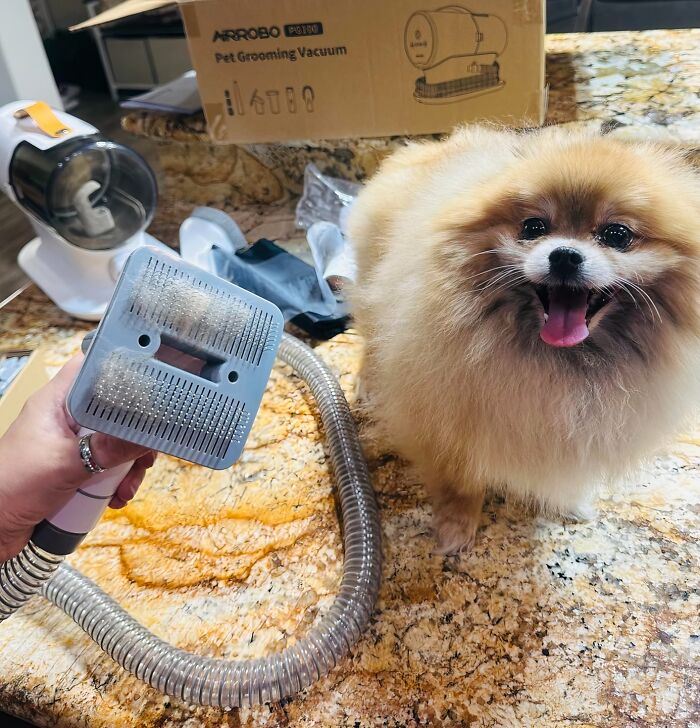 Pet grooming vacuum with brush and happy dog on a countertop, showcasing one of the most wished for items.