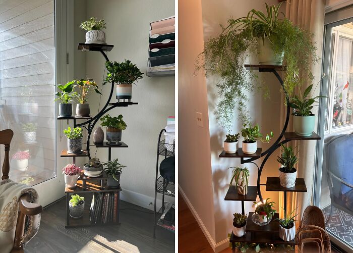 Tall black plant stand with multiple shelves, elegantly displaying various potted plants in a well-lit room.