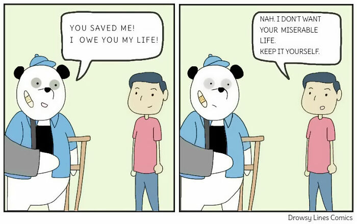 Panda-Monium And Other Laughs: 26 Drowsy Lines Comics That’ll Have You Roaring (26 Pics)