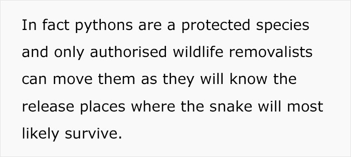 Python Lives Peacefully Under Woman’s House for Years, Neighbor Suddenly Insists on Removing It