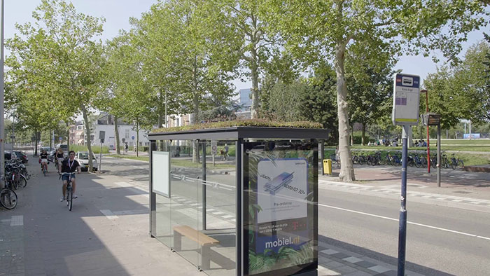 People Online Are Amazed By Dutch City That Recently Installed Over 300 Green-Roofed Bus Stops