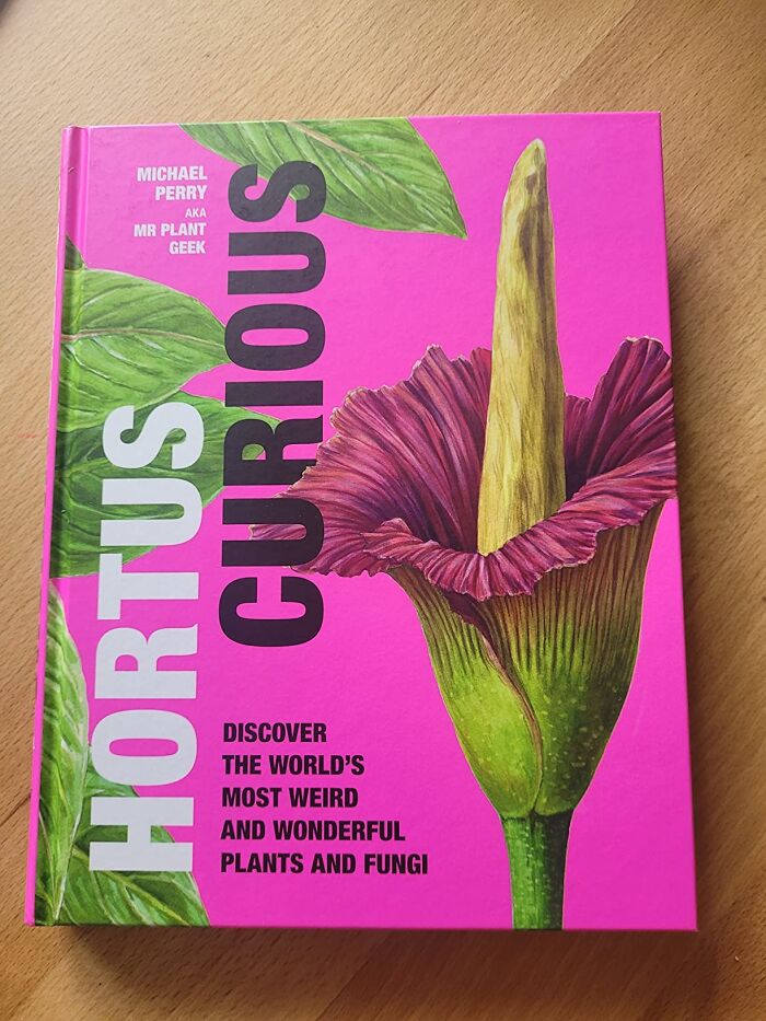  Hortus Curious: Discover The World's Most Weird And Wonderful Plants And Fungi: Delve Into The Enchanting World Of Botany's Most Peculiar Specimens. From Carnivorous Plants With A Taste For Insects To Fungi That Glow In The Dark, This Beautifully Illustrated Book Celebrates The Bizarre And Fascinating Diversity Of The Plant Kingdom