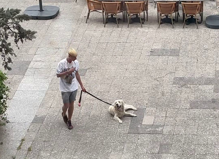 Video Of Guy Trying To Convince His Dog To Keep Walking Home Goes Viral As The Dog Refuses To Move