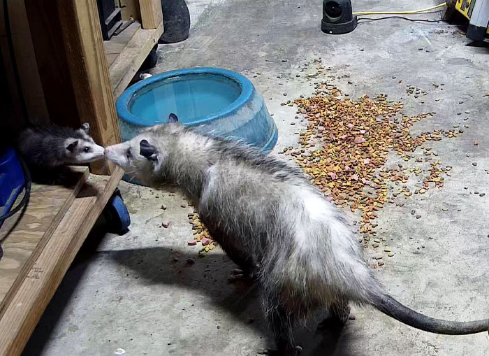 Mom And Her Child In My Garage