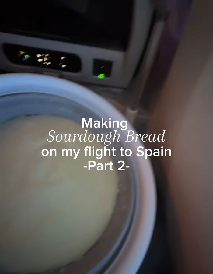 "Not The Best Idea": Influencer Apologizes After Baking Sourdough Mid-Flight