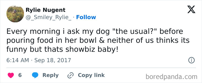 Funny-Tweets-About-Dogs