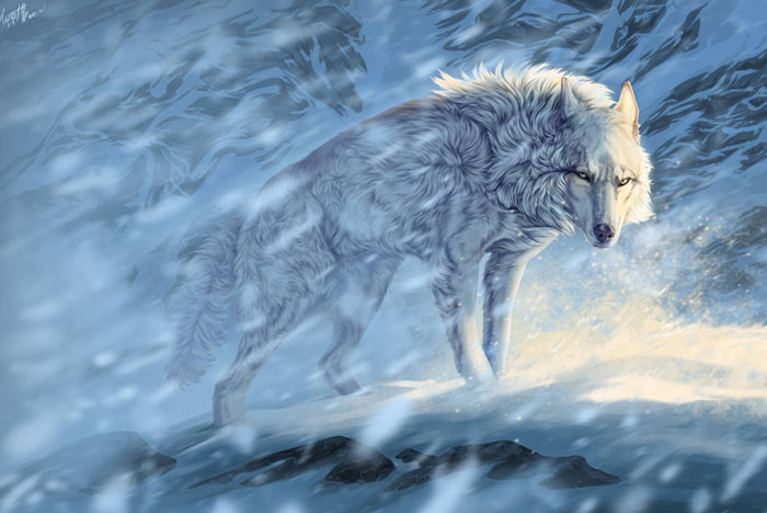 white alpha wolf in the snow storm