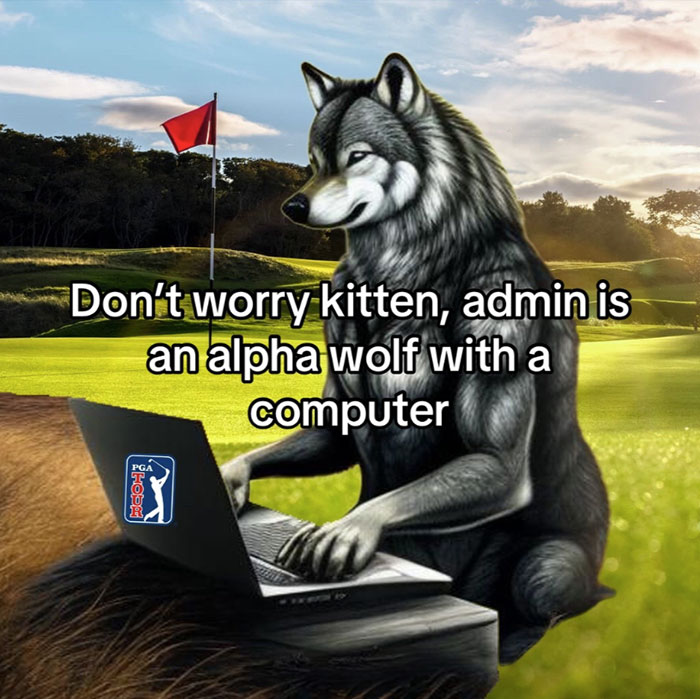 alpha wolf is working with a laptop