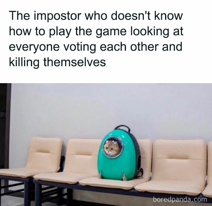 An Among Us meme featuring a cat sitting inside a green pet backpack with a transparent window, placed on a row of empty chairs in a waiting room. The caption above reads, "The impostor who doesn't know how to play the game looking at everyone voting each other and killing themselves," humorously depicting the confusion and amusement of an inexperienced impostor witnessing chaos among players, drawing a parallel between the clueless cat and the clueless impostor.