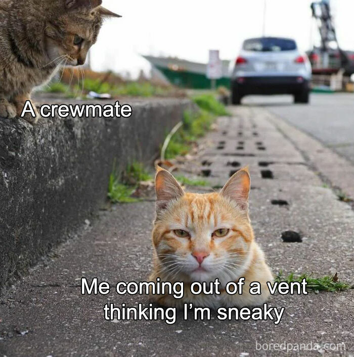 An Among Us meme featuring two cats in a street setting. The cat on the left, sitting on a curb and looking down, is labeled "A crewmate." The cat on the ground, emerging from a hole in the pavement, is labeled "Me coming out of a vent thinking I’m sneaky." The meme humorously portrays the classic scenario in the game where an impostor thinks they are stealthy while venting, but are immediately spotted by another player.