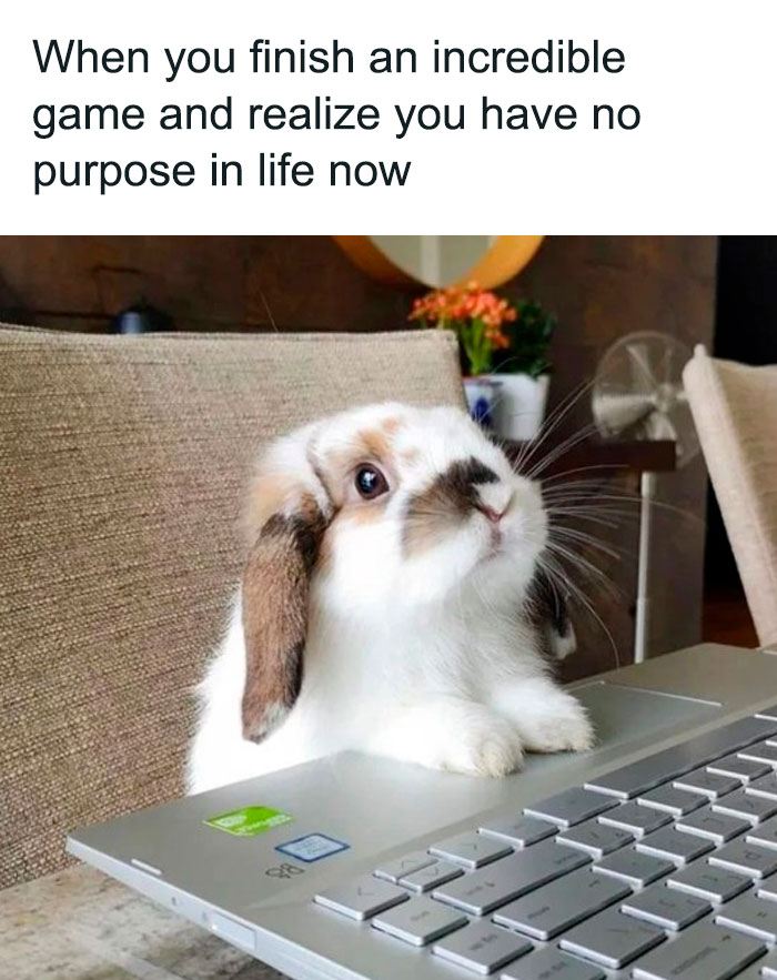 Funny animal meme featuring a small, adorable bunny sitting on a laptop, looking up with a sad expression. The text above the image reads, "When you finish an incredible game and realize you have no purpose in life now," humorously capturing the relatable feeling of emptiness after completing an engrossing task or game.