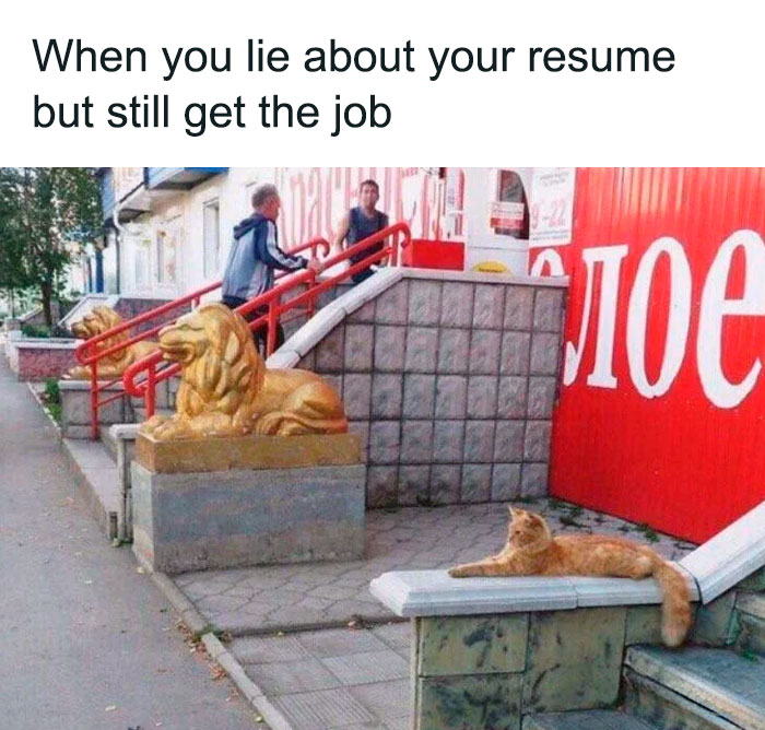 Funny animal meme featuring a scene with two golden lion statues guarding the steps of a building, but one of the statues is actually a real orange cat lying lazily on the platform. The text above reads, "When you lie about your resume but still get the job," humorously implying the cat is pretending to be a lion statue and succeeding.