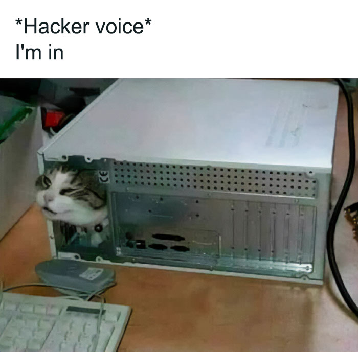 Funny animal meme showing a cat sticking its head out of an open computer tower, looking like it has taken over the machine. The text above the image reads, "Hacker voice I'm in," humorously implying the cat is a hacker that has infiltrated the system.