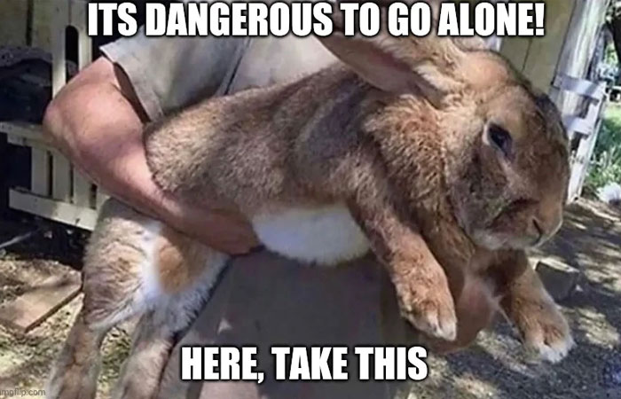 Funny animal meme showing a large rabbit being held by a person with the text above reading, "ITS DANGEROUS TO GO ALONE!" and below, "HERE, TAKE THIS." The oversized rabbit humorously resembles a protective companion, playing on the classic video game phrase often used when a character receives a helpful item.