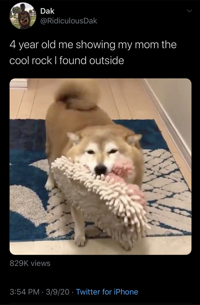 Funny animal meme showing a tweet with a picture of a Shiba Inu proudly holding a mop-like object in its mouth. The tweet reads, "4 year old me showing my mom the cool rock I found outside," humorously comparing the dog's excitement to a child's innocent enthusiasm for showing off small finds.