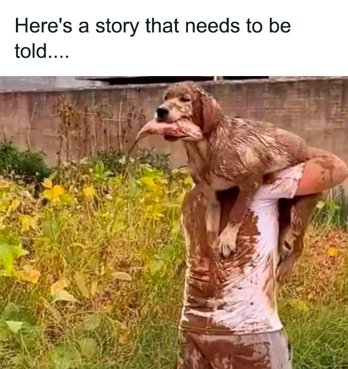  Funny animal meme showing a muddy dog being carried on a person's shoulders, both covered in mud. The text above reads, "Here's a story that needs to be told..." suggesting an adventure gone wrong or a funny and messy situation between the dog and the person.