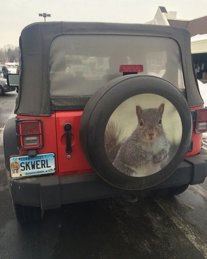 An Interesting Jeep Found In Connecticut