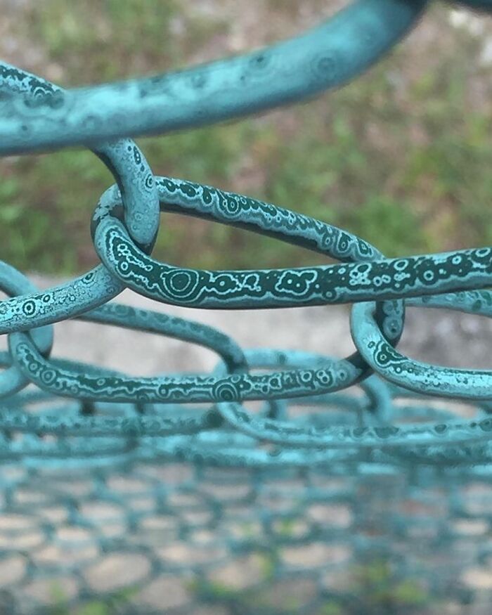 The Paint On This Chain-Link Fence Faded Into A Pattern Of Circles