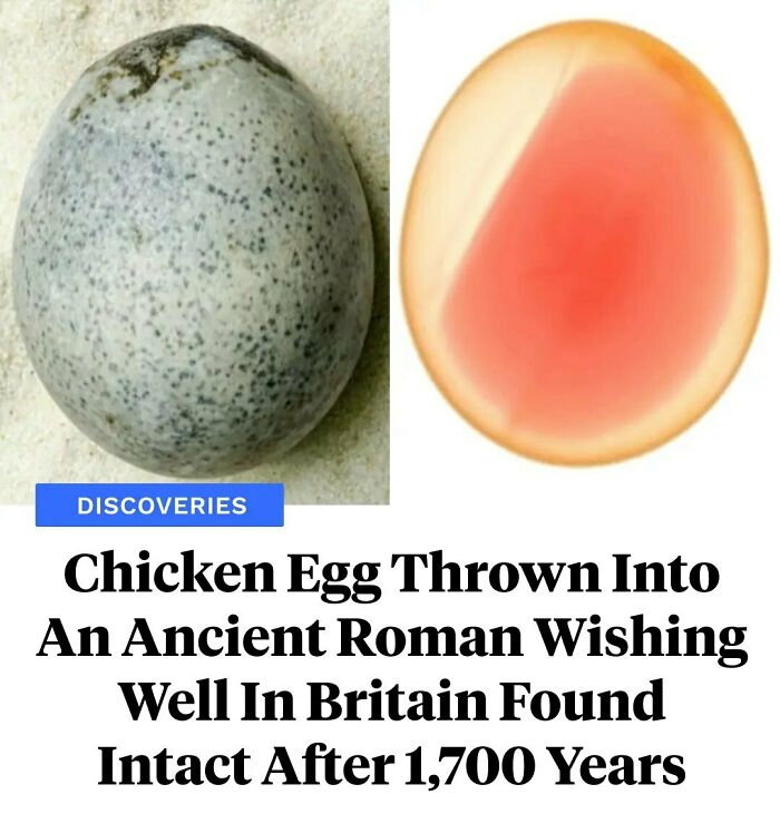 Approximately 1,700 Years Ago, An Ancient Roman Tossed A Chicken Egg Into A Wishing Well In What's Now The Town Of Aylesbury, England