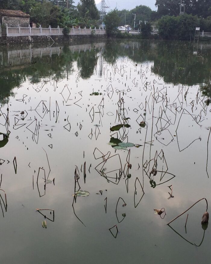 The Reflection Of These Sticks Are Creating Interesting Shapes