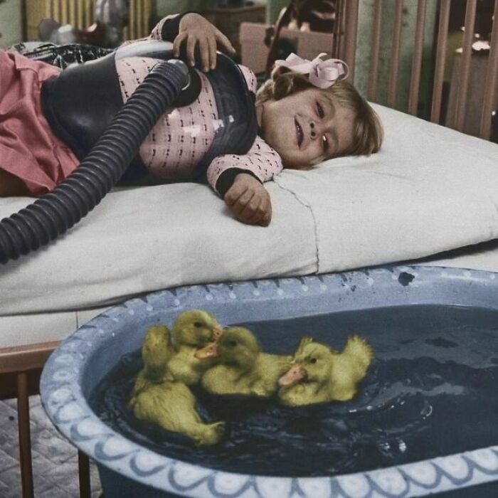 Animal Therapy, 1956