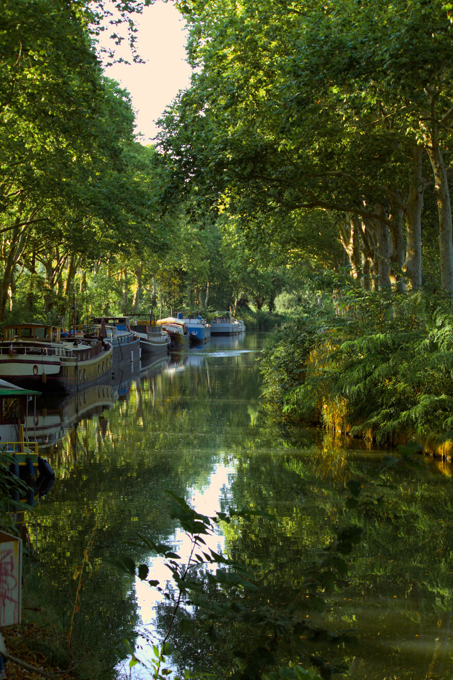 Canal Du Midi In All Her Glory