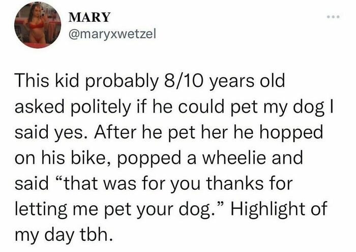 Wholesome-Posts-Memes