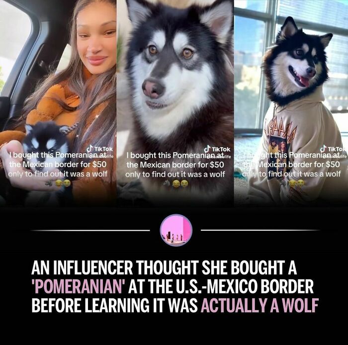 Infuriating-Influencer-News-Stories