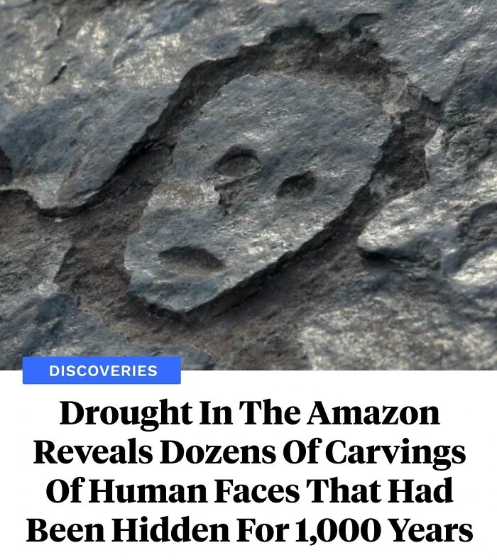 Drought In The Amazon Reveals Dozens Of Carvings Of Human Faces That Had Been Hidden For 1,000 Years