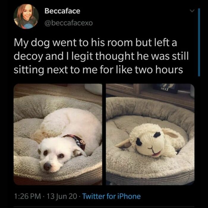 50 Heartwarming Posts To Combat The Negativity Of The World - 18