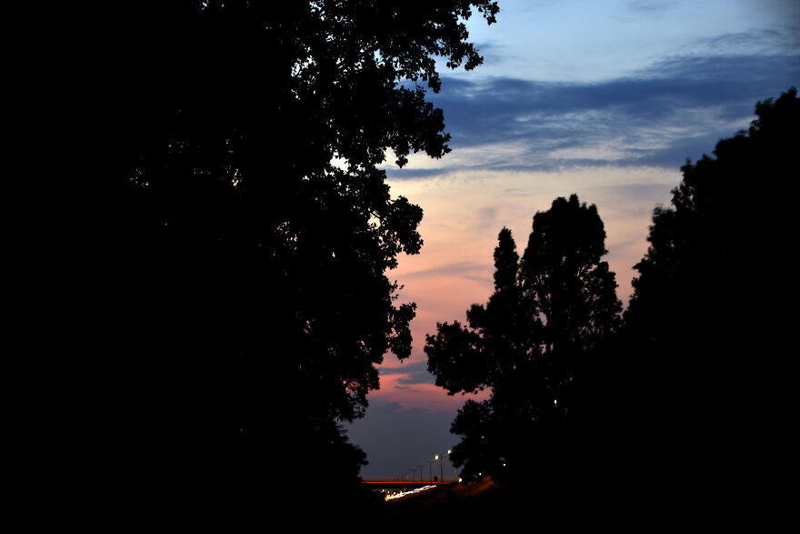 Dusk On The Meadow