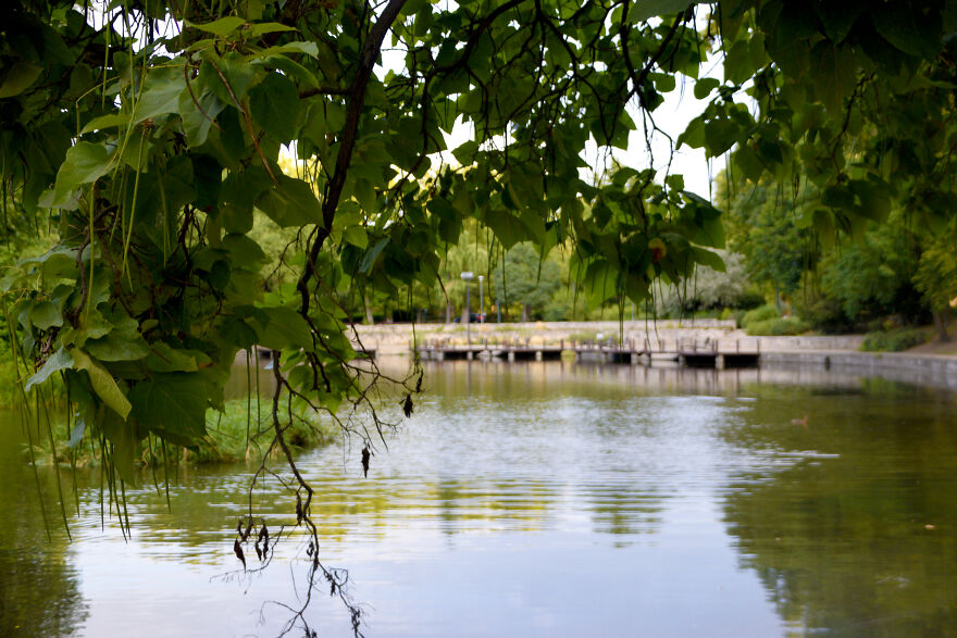 Lake At Vajdahunyad Castle