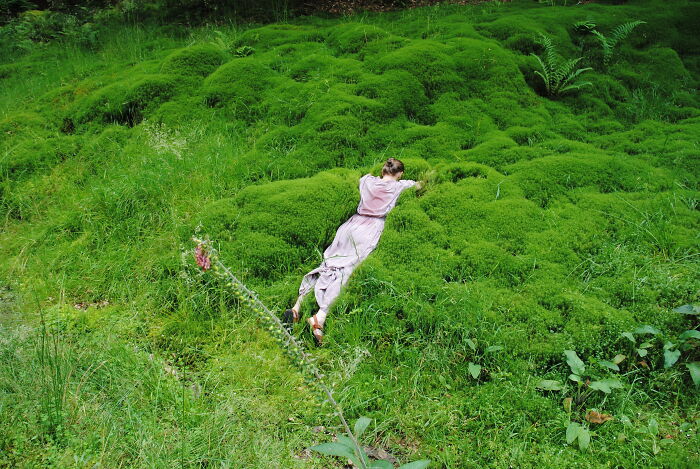 Hiked With Friends And Found Some Moss