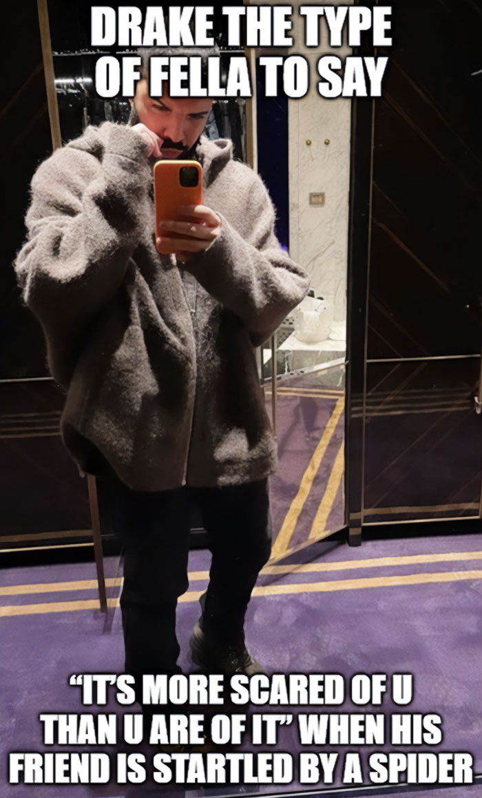 A "Drake the type of guy" meme featuring a mirror selfie of Drake wearing a fuzzy jacket, holding his phone up to his face. The text at the top reads, "DRAKE THE TYPE OF FELLA TO SAY," and the text at the bottom reads, " 'IT'S MORE SCARED OF U THAN U ARE OF IT' WHEN HIS FRIEND IS STARTLED BY A SPIDER."