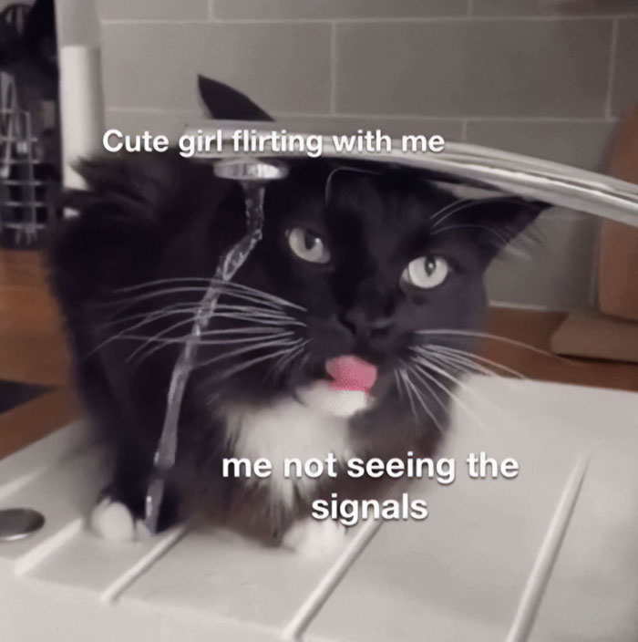 A flirty meme featuring a black and white cat licking water from a faucet with its eyes wide open. The text overlay reads, "Cute girl flirting with me" near the water stream and "me not seeing the signals" near the cat, humorously illustrating missing obvious flirting cues.