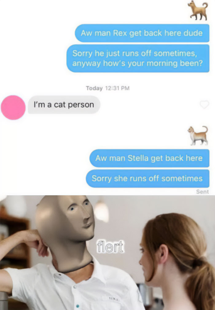 A flirty meme with two parts. The top part shows a text conversation with someone talking about a dog named Rex, and the response, "I'm a cat person." The next message adapts by mentioning a cat named Stella. The bottom part features a surreal image of a man with a distorted face leaning on a counter, looking at a woman, with the word "flert" written next to him, implying awkward or confused flirting.