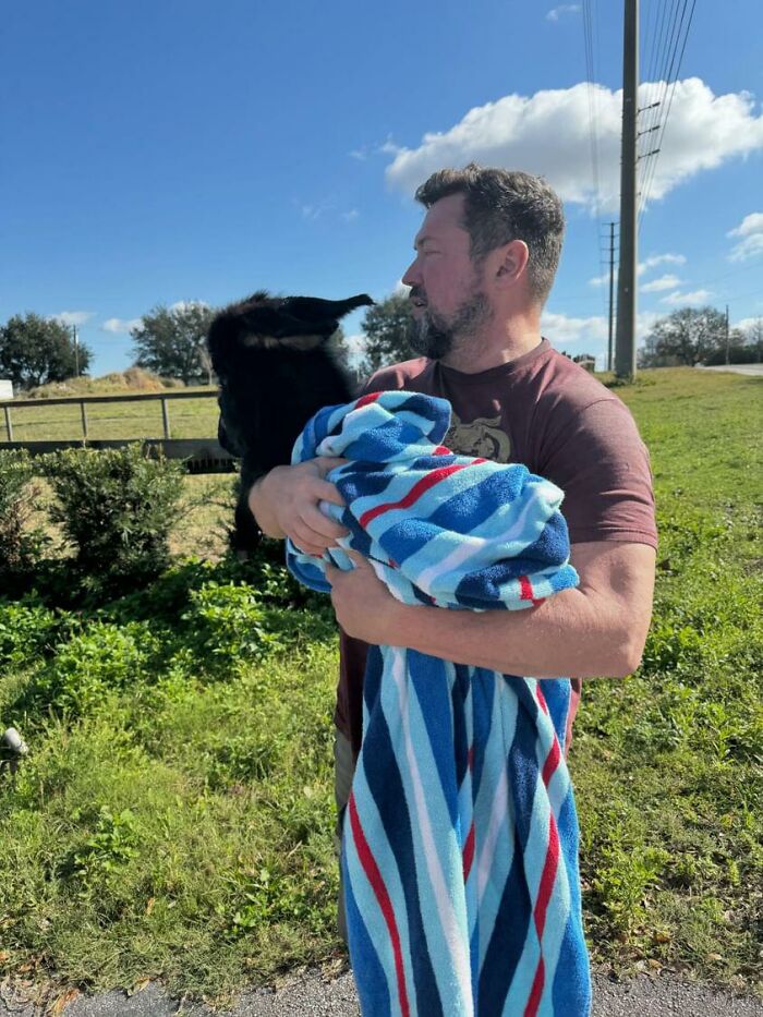 This Couple Rescued A Donkey From His Violent Mom And Now He Lives As A Beloved House Pet