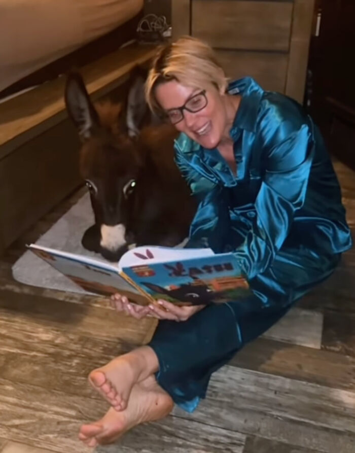 This Couple Rescued A Donkey From His Violent Mom And Now He Lives As A Beloved House Pet