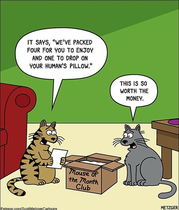 Funny Cat Comics By Scott Metzger That Might Make Every Cat Owner Cry With Laughter (New Pics)