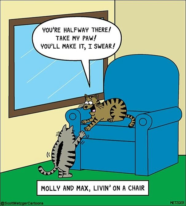 Funny Cat Comics By Scott Metzger That Might Make Every Cat Owner Cry With Laughter (New Pics)