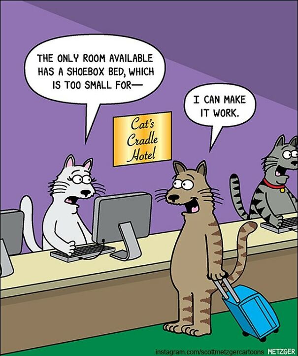 Funny Cat Comics By Scott Metzger That Might Make Every Cat Owner Cry With Laughter (New Pics)