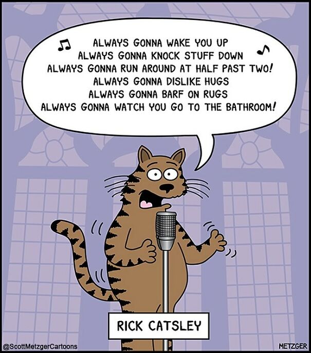 Funny Cat Comics By Scott Metzger That Might Make Every Cat Owner Cry With Laughter (New Pics)