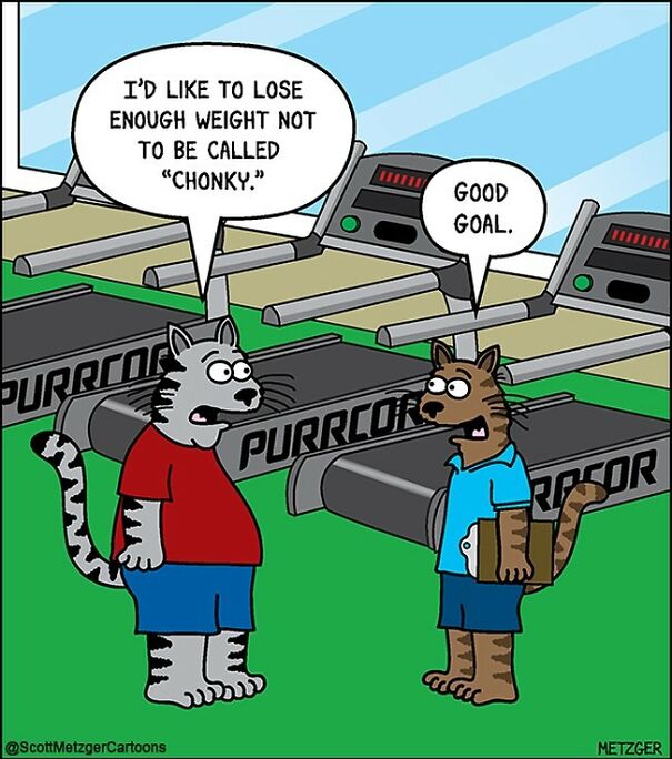 Funny Cat Comics By Scott Metzger That Might Make Every Cat Owner Cry With Laughter (New Pics)