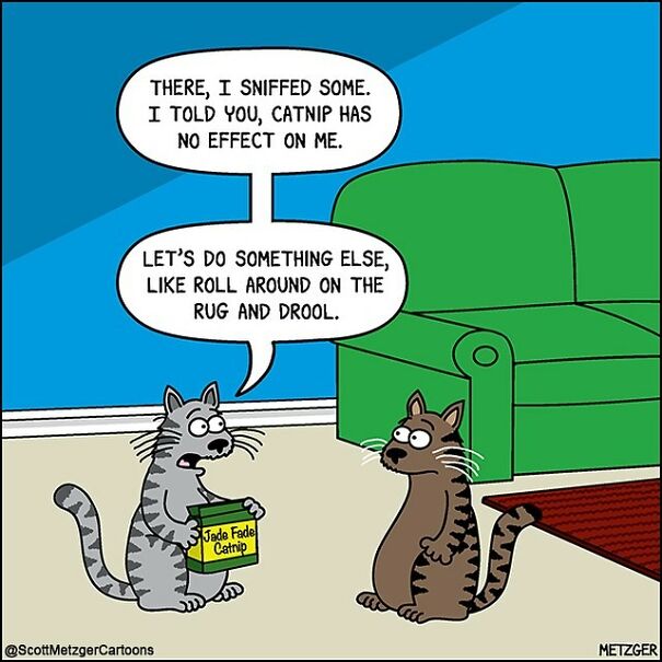 Funny Cat Comics By Scott Metzger That Might Make Every Cat Owner Cry With Laughter (New Pics)