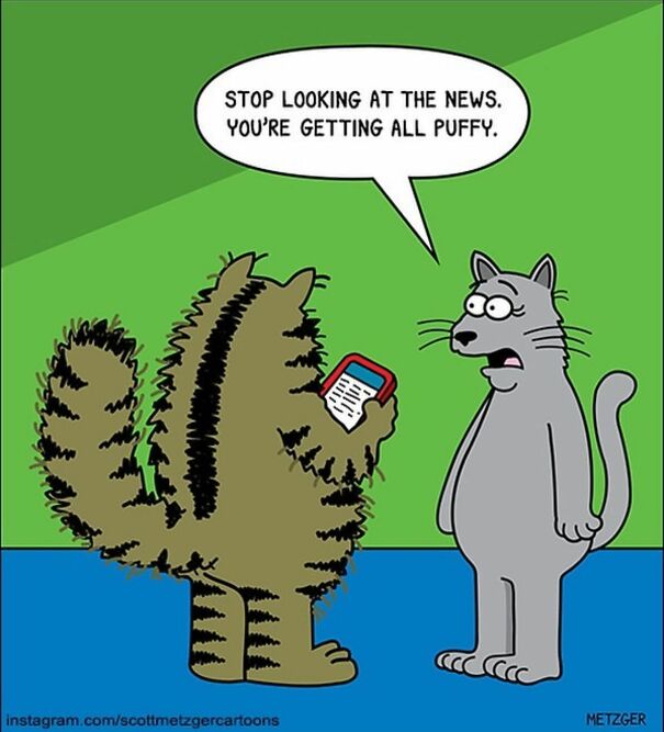 Funny Cat Comics By Scott Metzger That Might Make Every Cat Owner Cry With Laughter (New Pics)